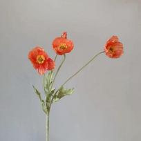 Spalvos Realistiškos Elegantiškos Nuostabios Dažytos Koteliai Dirbtinės Aguonos (Papaver Rhoeas) Netikros Aguonos Gėlės Dirbtinis Puokštė Šilkiniai Augalai tamsi koralų spalva