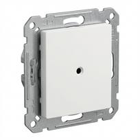 BUSCH JAEGER BJ 2538-915 Blindzentralscheibe mit Tragring Busch-balance SI (2CKA001715A0321)