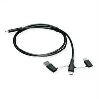 ROLINE USB 2.0 cable type C ST/ST with data blocking adapters A and C - Cable - Digital/Data