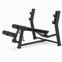 Treniruočių suoliukas MasterSport BioMotion BML-05 PRO (Pristatymas: 12-18 d.d.)
