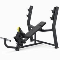 Treniruočių suoliukas MasterSport BioMotion BML-04 PRO (Pristatymas: 12-18 d.d.)