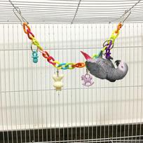 Papūga Spalvinga akrilo tilto narvas Paukštis Juokingi reikmenys naminiams gyvūnėliams Žaislas kabantys Priedai Sūpynės žaislų grandinėlė Length 36cm Weight 48g