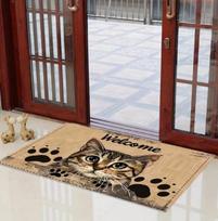 Holiday Cat Indoor Door Mat Please Keep The Door Closed The Design Is Holiday Home Decoration Enthusiasts Holiday Cat Design Mat 30x50cm