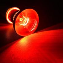 LED raudonųjų roplių nakties lemputė UVA infraraudonųjų spindulių šilumos lempos lemputė gyvatės driežo ropliui 60w