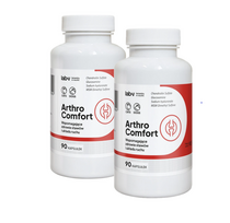LAB-V Arthro Comfort - visapusiška sąnarių ir kaulų bei raumenų sistemos sveikata šunims ir katėms 2x90 kapsulių