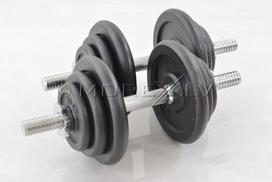 Metalinis hantelių rinkinys 2 x 20 kg