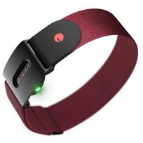 Polar Verity Sense (23-32cm), raudona