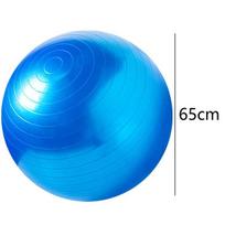Other fitness products,Exercise Ball Yoga Ball – Stability Ball for Home, Gym, Birthing Ball,blue