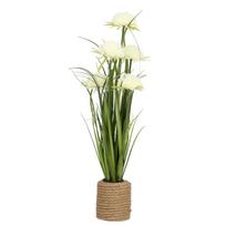 Dirbtinė gėlė GARDEN H70cm, balta chrizantema, žolė su vazonu