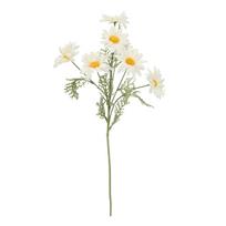 Dirbtinė gėlė GARDEN H55,5cm, baltas margainis