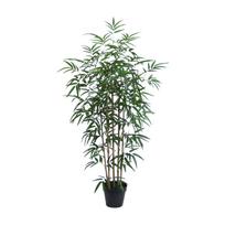 Dirbtinis medis WIND BAMBOO H130cm