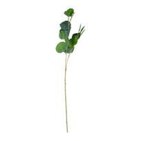 Dirbtinis augalas GREENLAND H73cm, eukaliptas