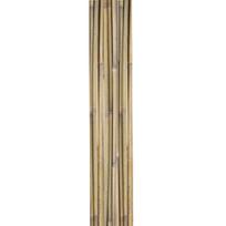 Bambukinės lazdelės sode H180cm 10vnt., rinkinys D12/14mm