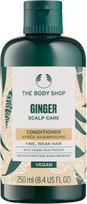 THE BODY SHOP Ginger Scalp Care, su imbiero ekstraktu kondicionierius, 250 ml