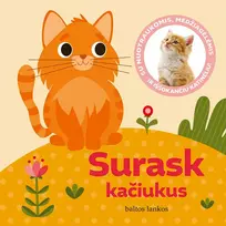Surask kačiukus. Su nuotraukomis, medžiagėlėmis ir iššokančiu katinėliu! - Gabjota Alūzaitė