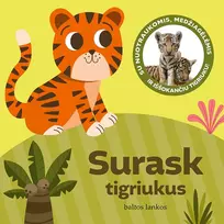 Surask tigriukus. Su nuotraukomis, medžiagėlėmis ir iššokančiu tigriuku! - Gabjota Alūzaitė