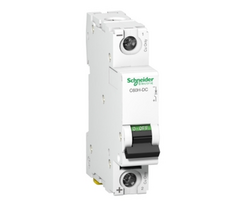 Schneider A9N18343 Grandinės pertraukiklis 1P B 125A C120N A9N18343