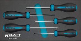 HAZET 163-185/5 Atsparus pažeidimams "Torx" profilio HEXAnamic atsuktuvų rinkinys - įvairiaspalvis