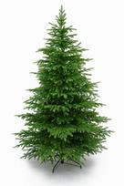 Dirbtinė kalėdų eglutė virpol beskid spruce, 225 cm, 100% pe, su metaliniu stovu