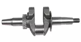 Alkūninis velenas Weima 170F-2-L/P