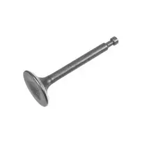 Išmetimo vožtuvas Weima 170F-2/P