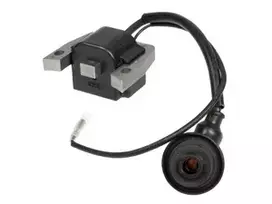 Uždegimo ritė Rato varikliui R60i
