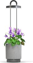 Click & Grow Click and Grow - HydroVase - Grey