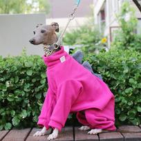 Žieminiai šilti poliarinio vilnos šunų drabužiai Dinazauro formos šuns šiltas kombinezonas Whippet Greyhound Augintinis Keturių kojų paltas S
