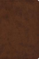 ESV Study Bible, Personal Size