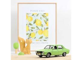 PRE-ORD3R NOREV Modeliukas 1/18 1973 Renault 12 TS, Light Green