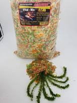"Vital Pond Mix" mišinys sodo tvenkinio žuvims su Gammarus 20 L = 2,1 kg + 1 x krūva Egeria Densa apie 20 cm tvenkinio augalo