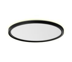 Prezent 27317 -LED Vonios lubų šviestuvas CORDIA LED/30W/230V IP54 Ø 50 cm juodas