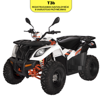 Keturratis KAYO AU300 EFI