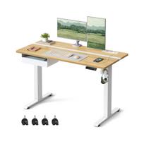 Reguliuojamas elektrinis rašomasis stalas su elektros lizdu 60x120 cm