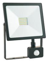 Prožektorius LED Lauko 30W, Dienos Šviesa