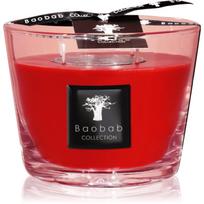 Baobab Collection All Seasons Masaai Spirit kvapioji žvakė 500 g