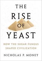 Rise of Yeast