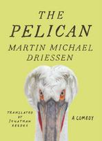 Pelican