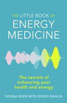 Little Book of Energy Medicine
