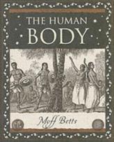 Human Body