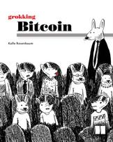 Grokking Bitcoin