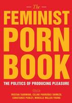 Feminist Porn Book