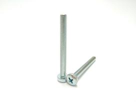 Varžtai pusapvalia galva PROFIX, DIN7985, M8 x 30 mm, cinkuoti, 10 vnt.