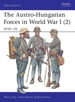 The Austro-Hungarian Forces in World War I (2): 1916-18