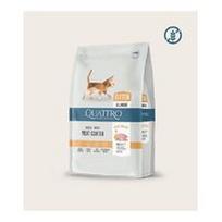 QUATTRO Kitten sausas kačiukų pašaras su daug paukštienos 1,5 kg