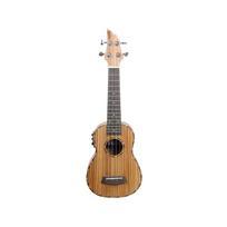 Soprano ukulelė Flycat C40S EQ (su įgarsinimu)