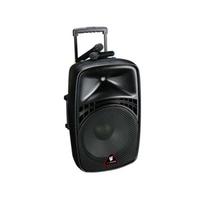 Nešiojama kolonėlė IGO SYSTEM EZ-12A (100W)