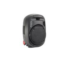 Nešiojama kolonėlė Ibiza PORT12UHF-MKII (350W)