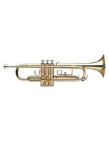 Trimitas Stagg WS-TR215S (Bb)