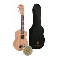 Soprano ukulelės rinkinys Artin UKULELE-21B